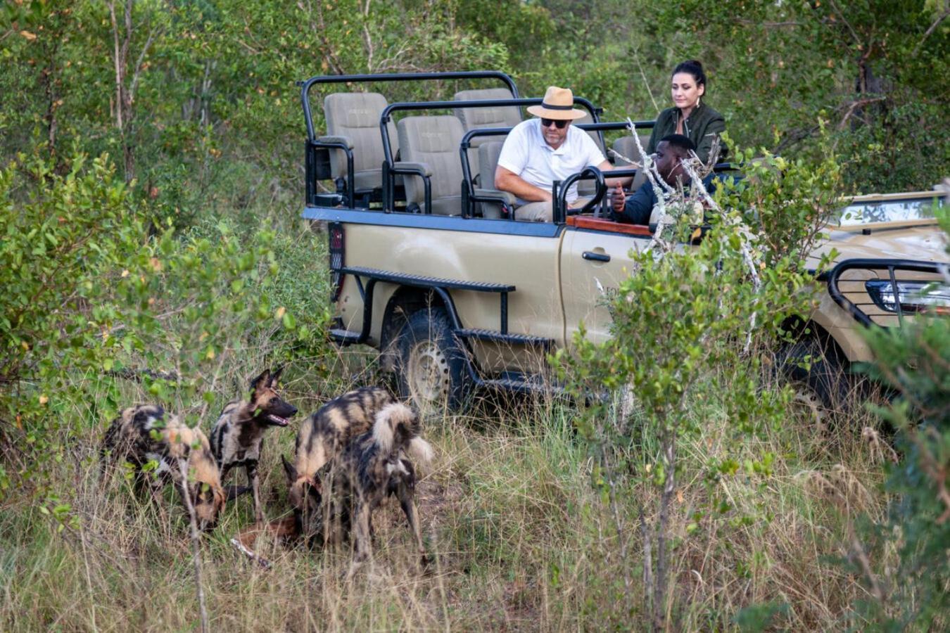 Leopard Hills Private Game Reserve Sabi Sand Game Reserve Eksteriør bilde