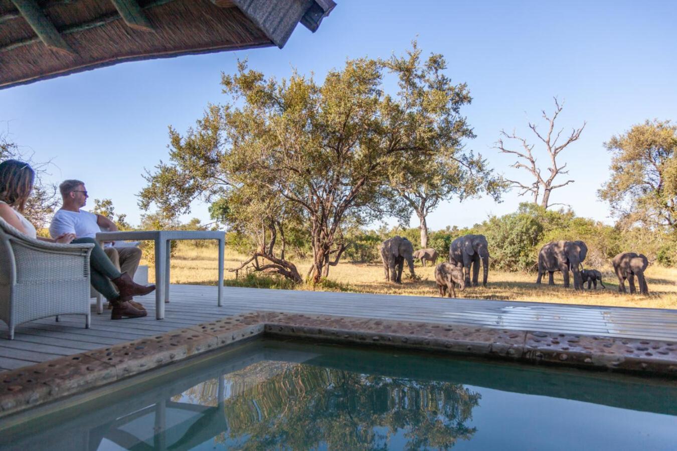 Leopard Hills Private Game Reserve Sabi Sand Game Reserve Eksteriør bilde