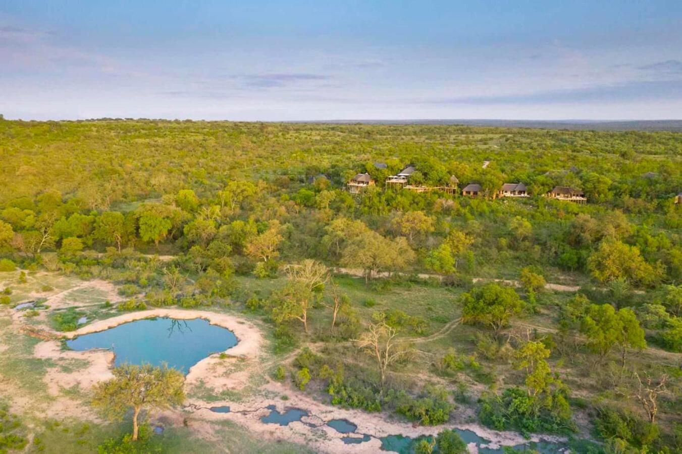 Leopard Hills Private Game Reserve Sabi Sand Game Reserve Eksteriør bilde